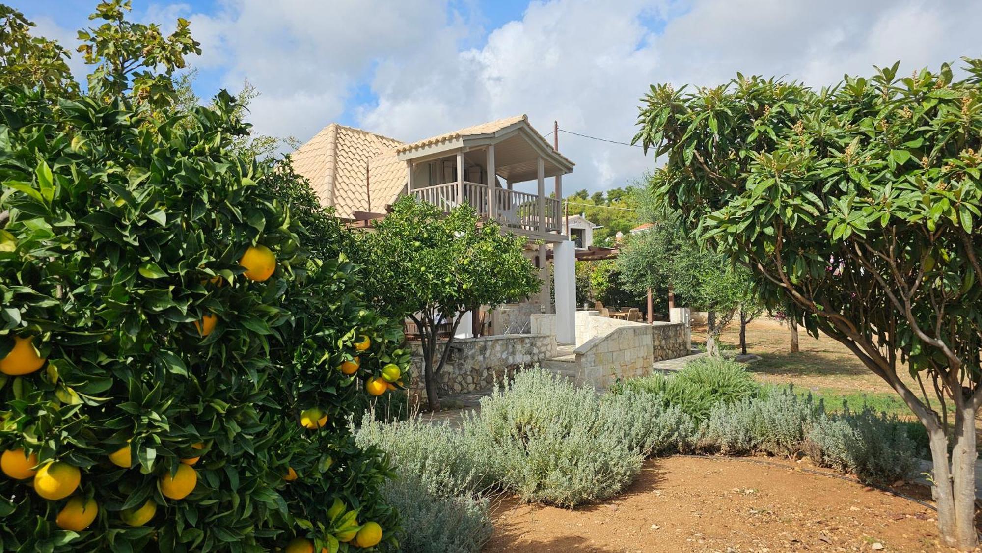 Ploes Luxury Cottages Pesadha Bagian luar foto